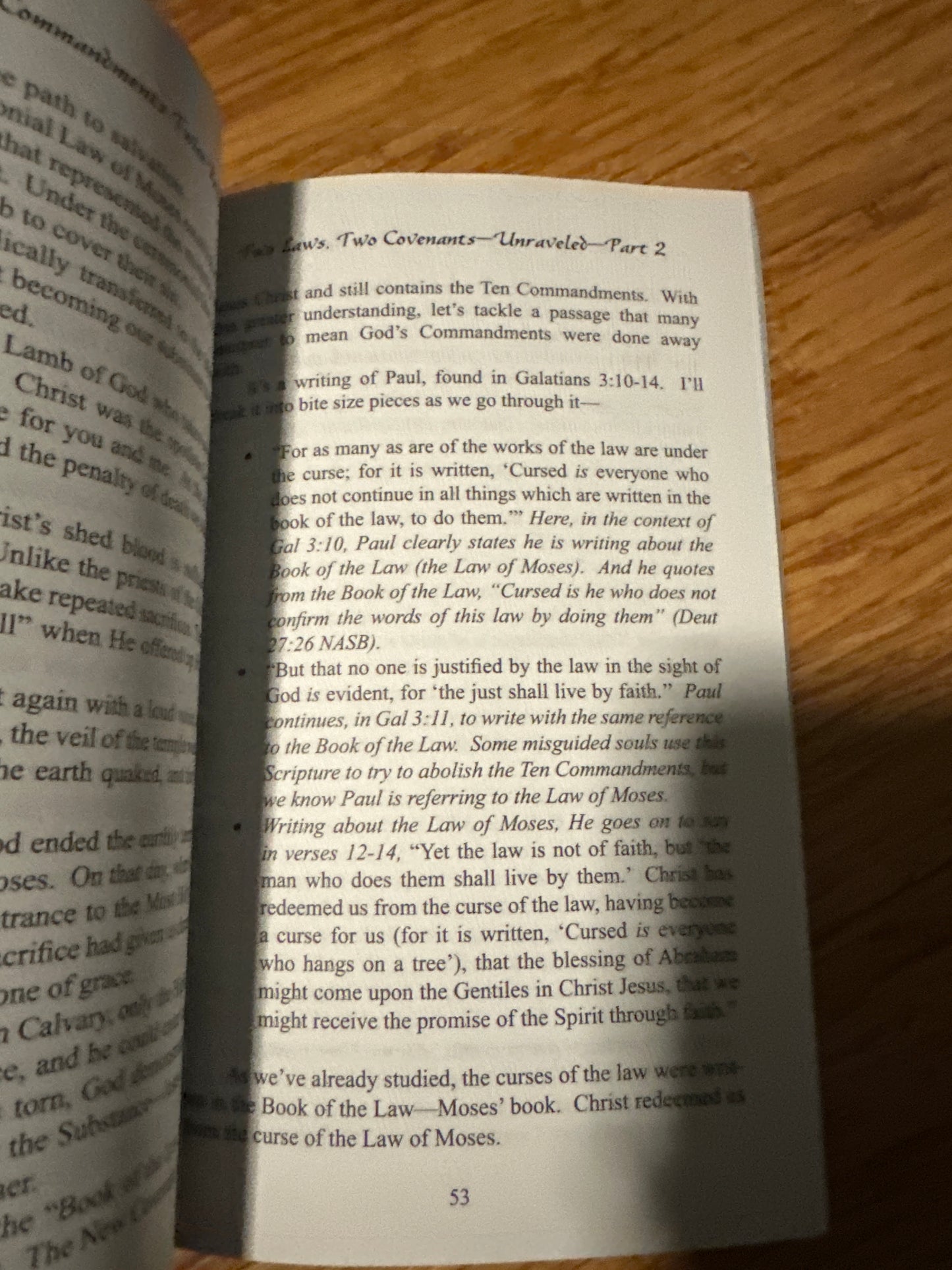 Ten Commandments Twice Removed Paperback April 1, 2006 by Danny Shelton (Author), Shelley J. Quinn