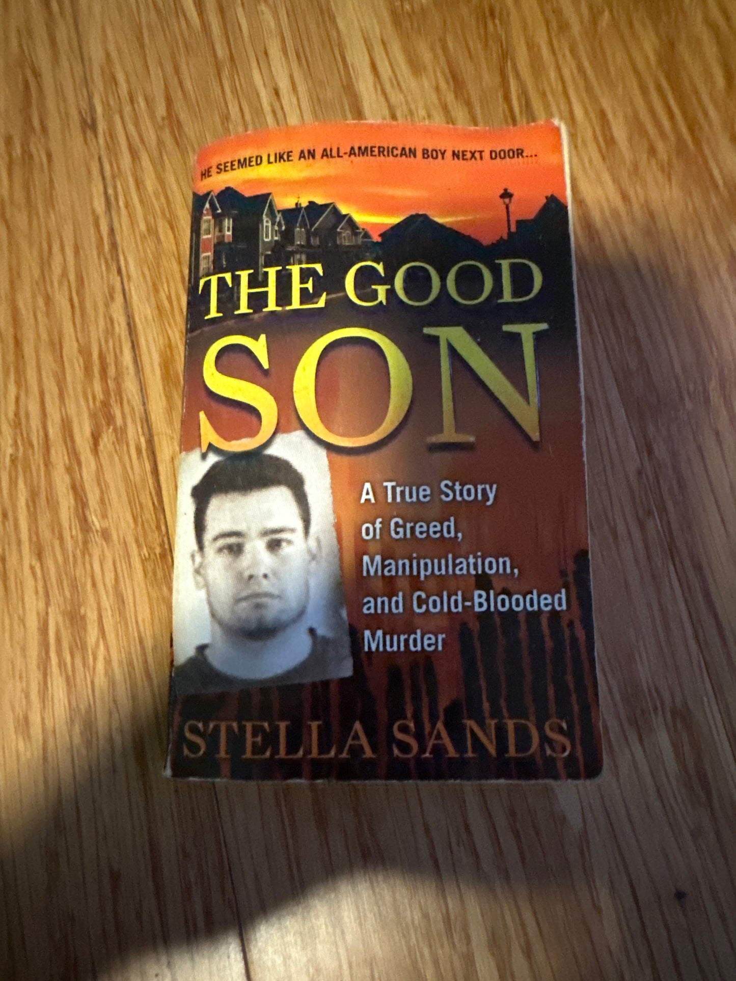 The Good Son: A True Story of Greed, Manipulation, and Cold-Blooded Murder Paperback by Stella Sands