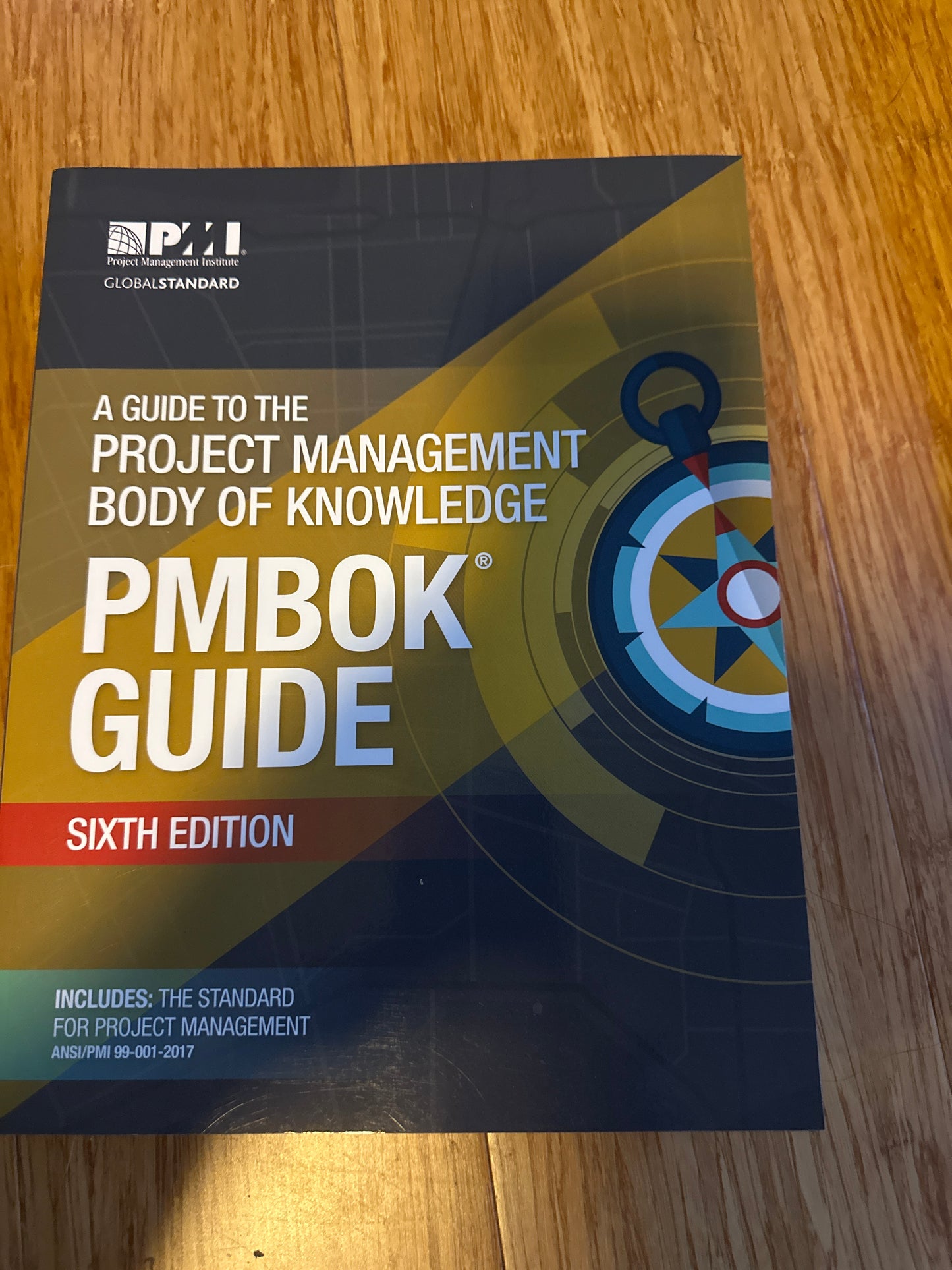 A Guide to the Project Management Body of Knowledge 6th by Project Management Group