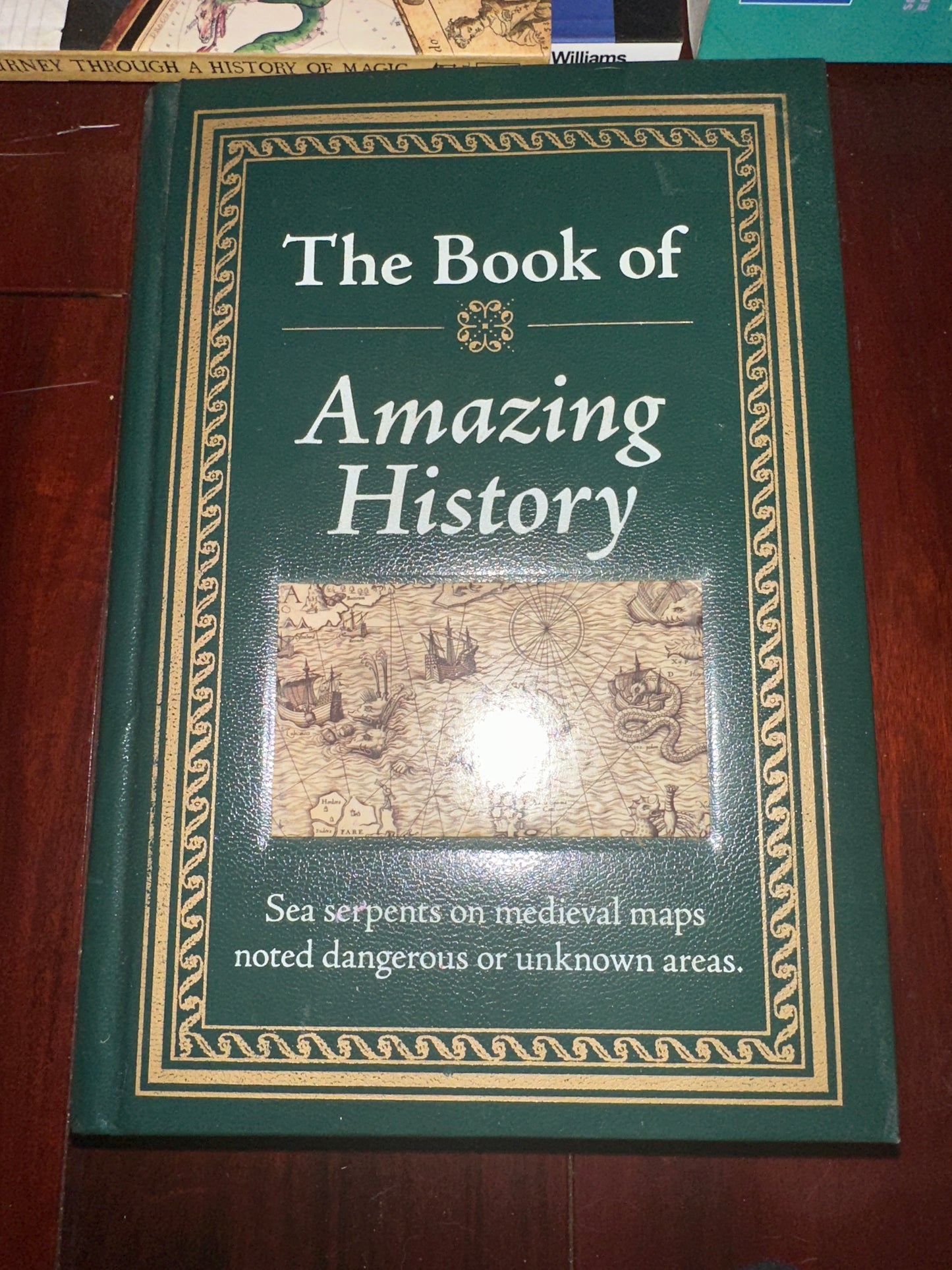 The Book of Amazing History Hardcover