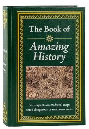The Book of Amazing History Hardcover