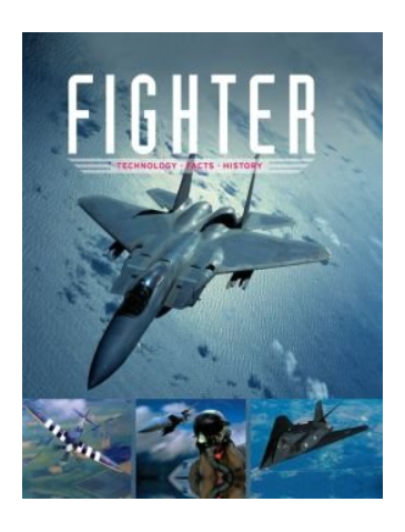 Fighter, Technology, Facts, History Hardcover – January 1, 2013 by Ralf Leinburger